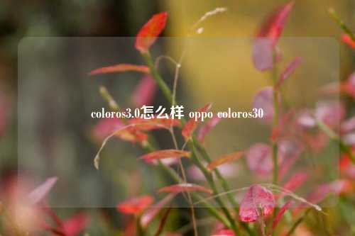 coloros3.0怎么样 oppo coloros30