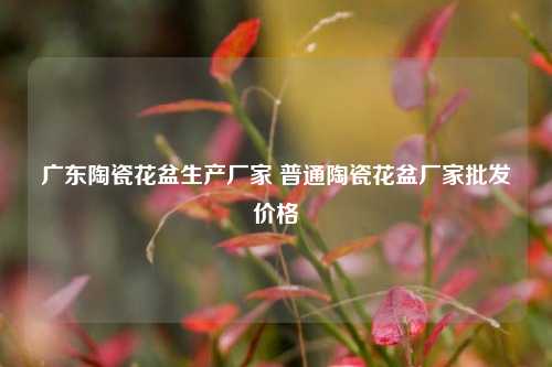 广东陶瓷花盆生产厂家 普通陶瓷花盆厂家批发价格