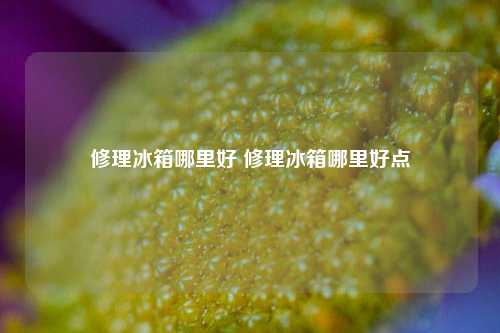 修理冰箱哪里好 修理冰箱哪里好点