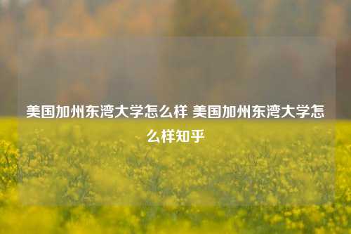 美国加州东湾大学怎么样 美国加州东湾大学怎么样知乎