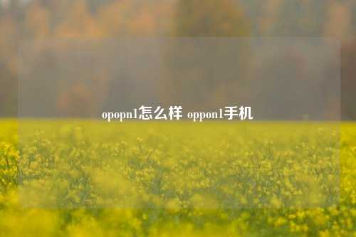 opopn1怎么样 oppon1手机